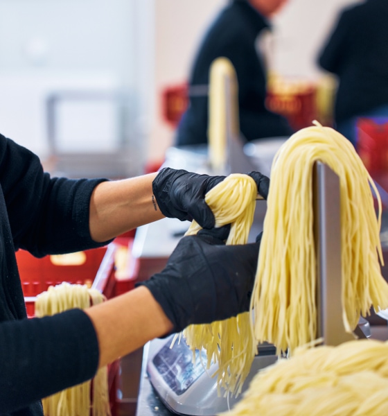 Dedicated cheese masters crafting excellence